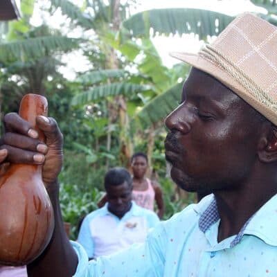 Vin de palme